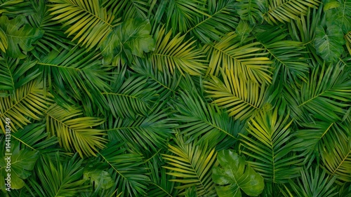Tropical Foliage Background Texture