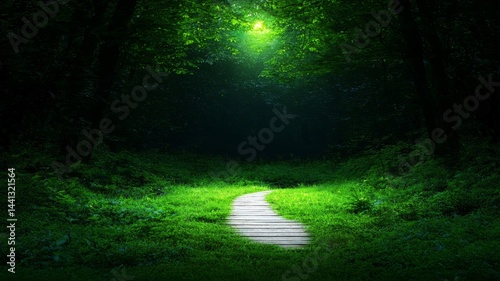 A Path Through a Lush Green Woodland at Night