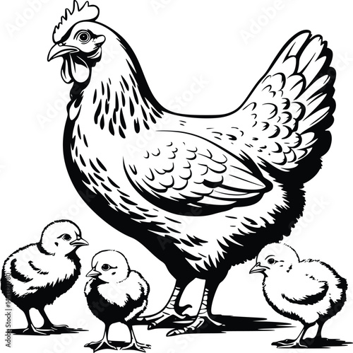Black and white bold vector of a hen with chicks, isolated on white background. photo