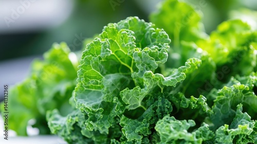 Fresh, vibrant kale leaves close-up, showcasing their texture and deep green color.