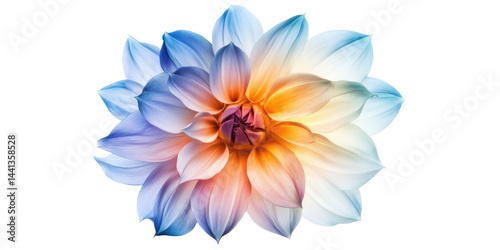 This vibrant image showcases a detailed view of a beautiful colorful dahlia flower against a white background.
