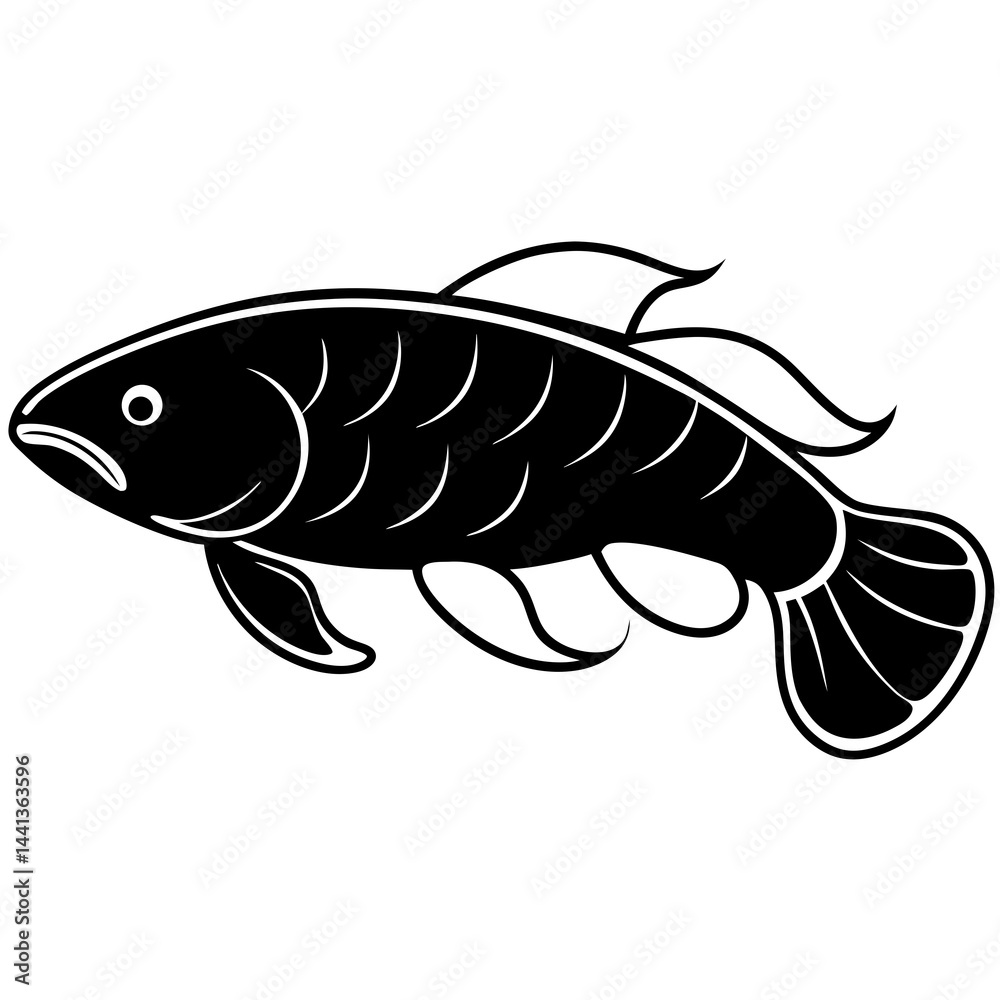 Asian Arowana Silhouette Vector on White Asian Arowana Silhouette Vector on White