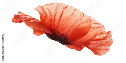This is a macro photograph of a single, red flower petal with translucent qualities and delicate folds.