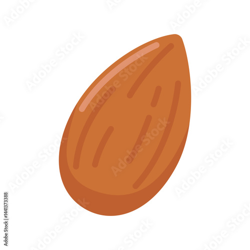 Vector Almond Almond seeds are a high-energy food for health-conscious people.
