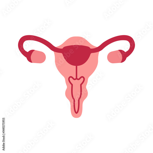 Female Reproduction Vector Illustration