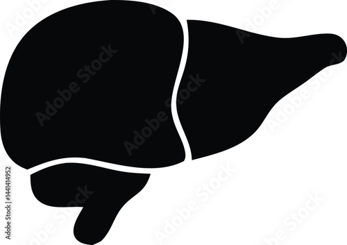 The Liver in Silhouette: A Vital Organ in Focus