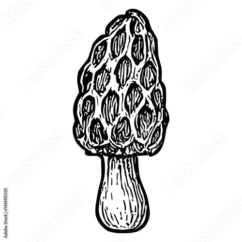 mushroom 11