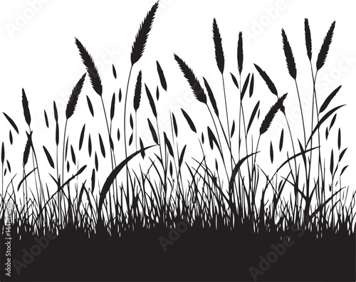 "Wild Grass Silhouette – Rustic Nature Vector Design"

"Wheat Field Vector – Farm Grass Silhouette Illustration"

"Tall Grass Silhouette Clipart – Natural Plant Element"