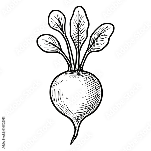 radish 10
