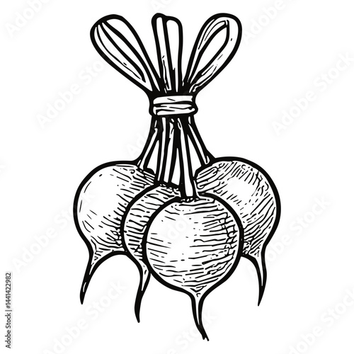 radish 11
