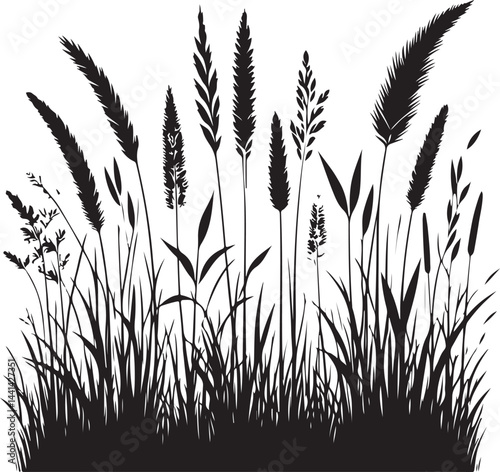 "Wild Grass Silhouette – Rustic Nature Vector Design"

"Wheat Field Vector – Farm Grass Silhouette Illustration"

"Tall Grass Silhouette Clipart – Natural Plant Element"