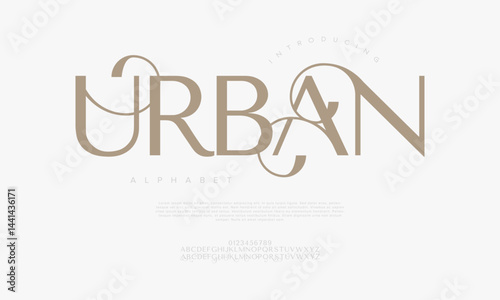 Stylish modern serif font featuring elegant swashes, ideal for boutique branding, editorial layouts, logos, and packaging design