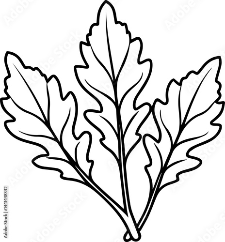 arugula leaves outline coloring book page line art vector illustration, black outline