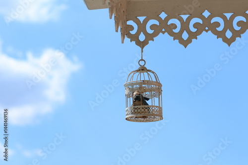 Artificial bird in the white wooden cage installed at the edge of building. Classic design interior at the backyard. 