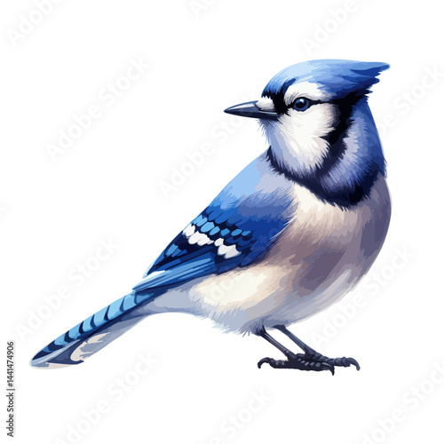 Handmade watercolor of a Blue Jay standing, featuring vivid blue feathers and soft brushstrokes, isolated on a clean white background for versatile designs