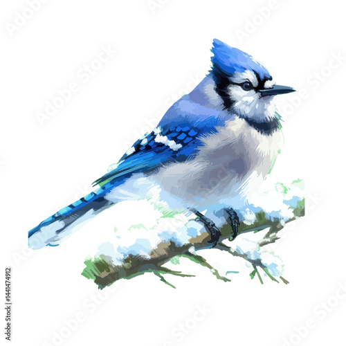 Handmade watercolor of a Blue Jay standing, featuring vivid blue feathers and soft brushstrokes, isolated on a clean white background for versatile designs