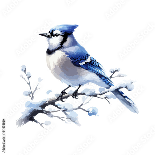 Handmade watercolor of a Blue Jay standing, featuring vivid blue feathers and soft brushstrokes, isolated on a clean white background for versatile designs