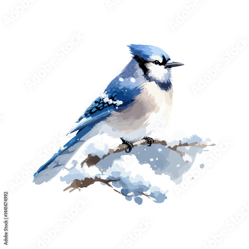 Handmade watercolor of a Blue Jay standing, featuring vivid blue feathers and soft brushstrokes, isolated on a clean white background for versatile designs