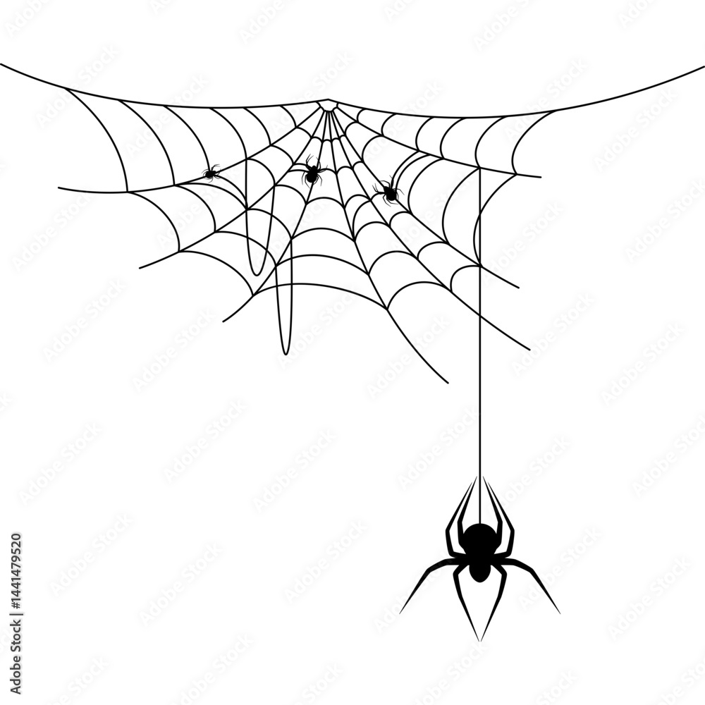 Cobweb with Spider Illustration