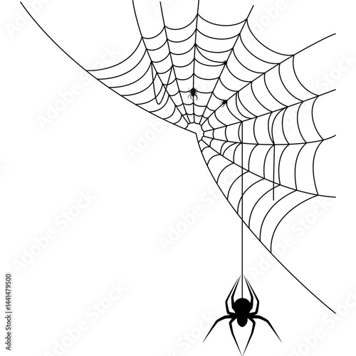 Cobweb with Spider Illustration