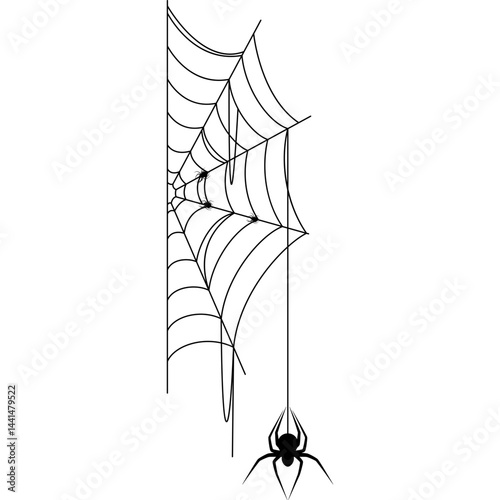 Cobweb with Spider Illustration