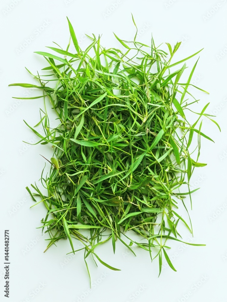 Fresh green sprigs of tarragon herb arranged in a square shape on a white background overhead shot studio shot culinary herb aromatic herb