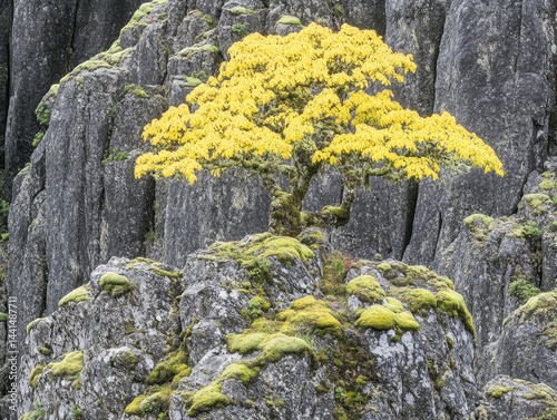 Vibrant yellow tree atop mossy rocks against a backdrop of weathered cliffs a serene landscape capturing nature's resilience and beauty in a tranquil setting