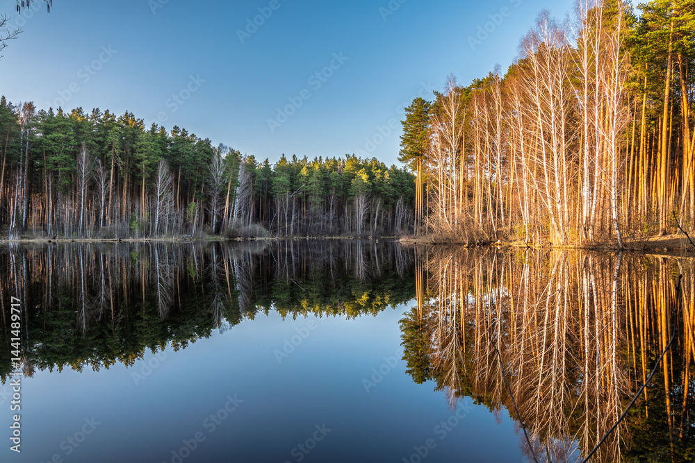 Calm lake with green trees on the shore and a beautiful reflection. Summer landscape.