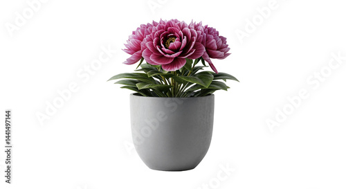 Wallpaper Mural Elegant Pink Peonies in a Modern Gray Pot Isolated on Transparent Background Torontodigital.ca