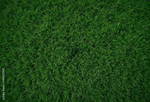 Wallpaper Mural Overhead view of lush, intensely green grass forming a natural carpet Torontodigital.ca