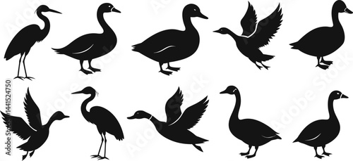 Collection of Bird Silhouettes – Ducks, Herons, Flying and Standing Poses in High-Contrast Design