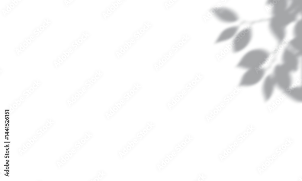 Obraz premium Premium tree shadow png transparent background