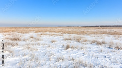 Wallpaper Mural Serene Winter Landscape Snow Covered Field Under a Clear Blue Sky A picturesque view of a frosted winter grassland Torontodigital.ca