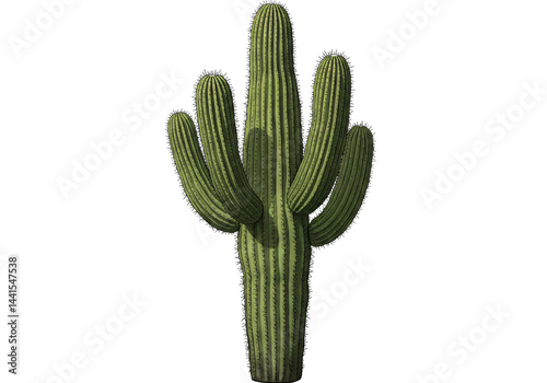 Majestic Saguaro Cactus of the Sonoran Desert
