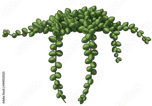 Luscious Green Succulent Plant Cascading Downward Beauty