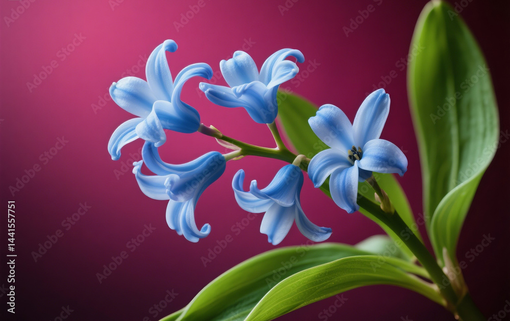 Naklejka premium A serene night sky full of bright stars, with a soft glowing full moon shining 