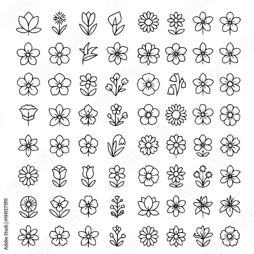 Flowers line icon set. Vector pictograms of magnolia, dandelion, crocus, calla lily, various flower species - azalea, anemone, bird paradise, thin linear illustration.