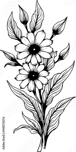 Intricate Mandala Design and Ornament vector design 