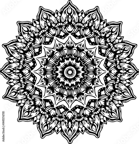 Intricate Mandala Design and Ornament vector design 