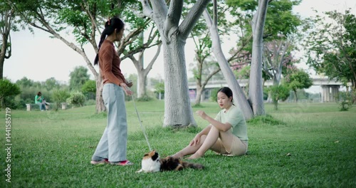 Handheld low angle view shot, Two happy women enjoying playing with cat on a weekend in a park. Spending free time with pet.