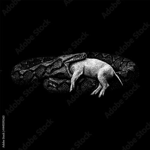 python swallowing pig hand drawing vector isolated on black background.
