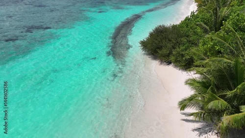 The aerial view in the island with white sand beach as coastline in summer Maldives