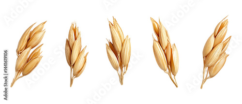 Pack of Barley Against Transparent Background for Agriculture Branding, Organic Promotion, or Farm Design Projects