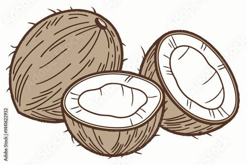 Coconut pieces isolated on transparent background
