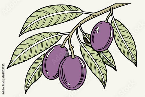Fresh ripe marian plum with leaves isolated on transparent background