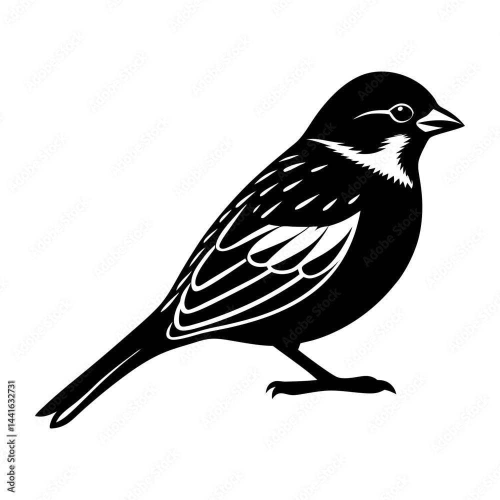 Obraz premium Sparrow Silhouette vector illustration
