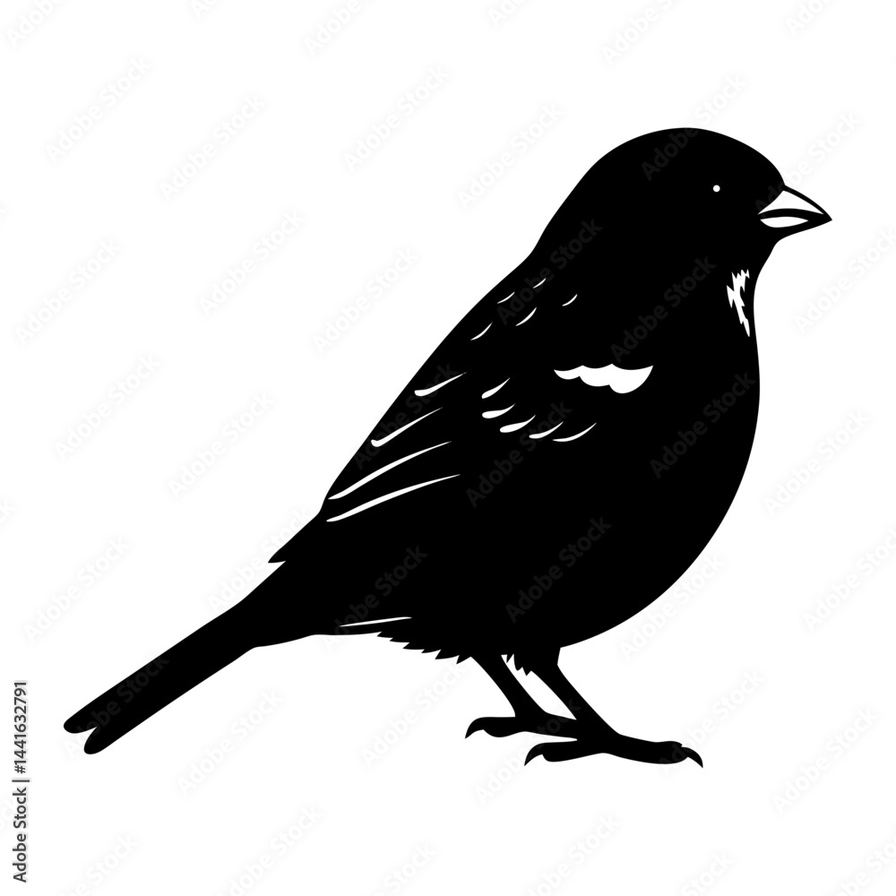 Obraz premium Sparrow Silhouette vector illustration