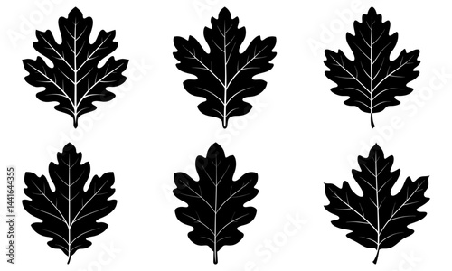 Oak Leaf Silhouette vector illustration