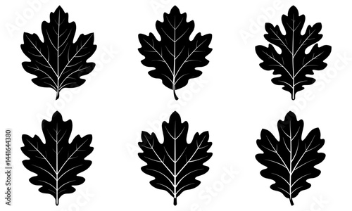 Oak Leaf Silhouette vector illustration