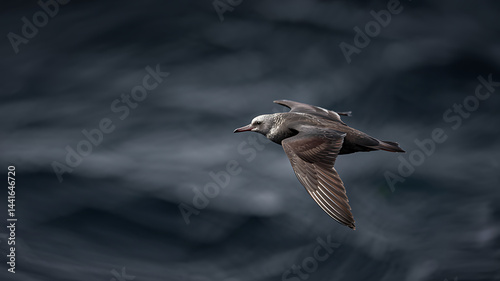 Fototapeta Naklejka Na Ścianę i Meble -  Majestic Antarctic petrel soars above dramatic ocean waves breathtaking flight